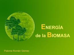 11. Sistemas de energía biomásicos