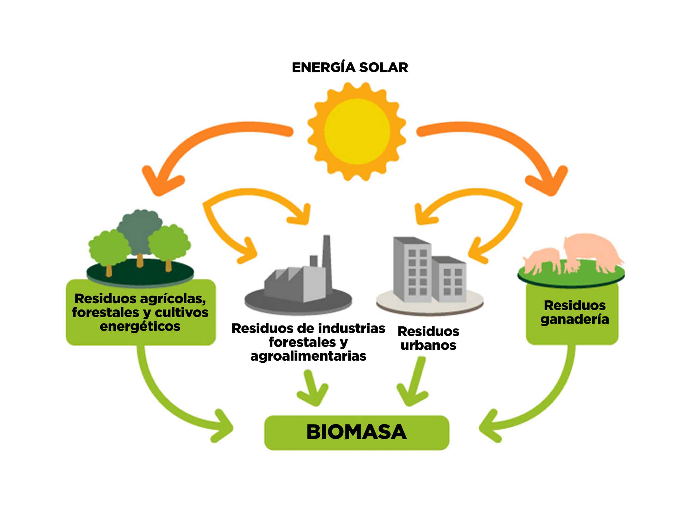 3. Sistemas de Energía Biomásicos